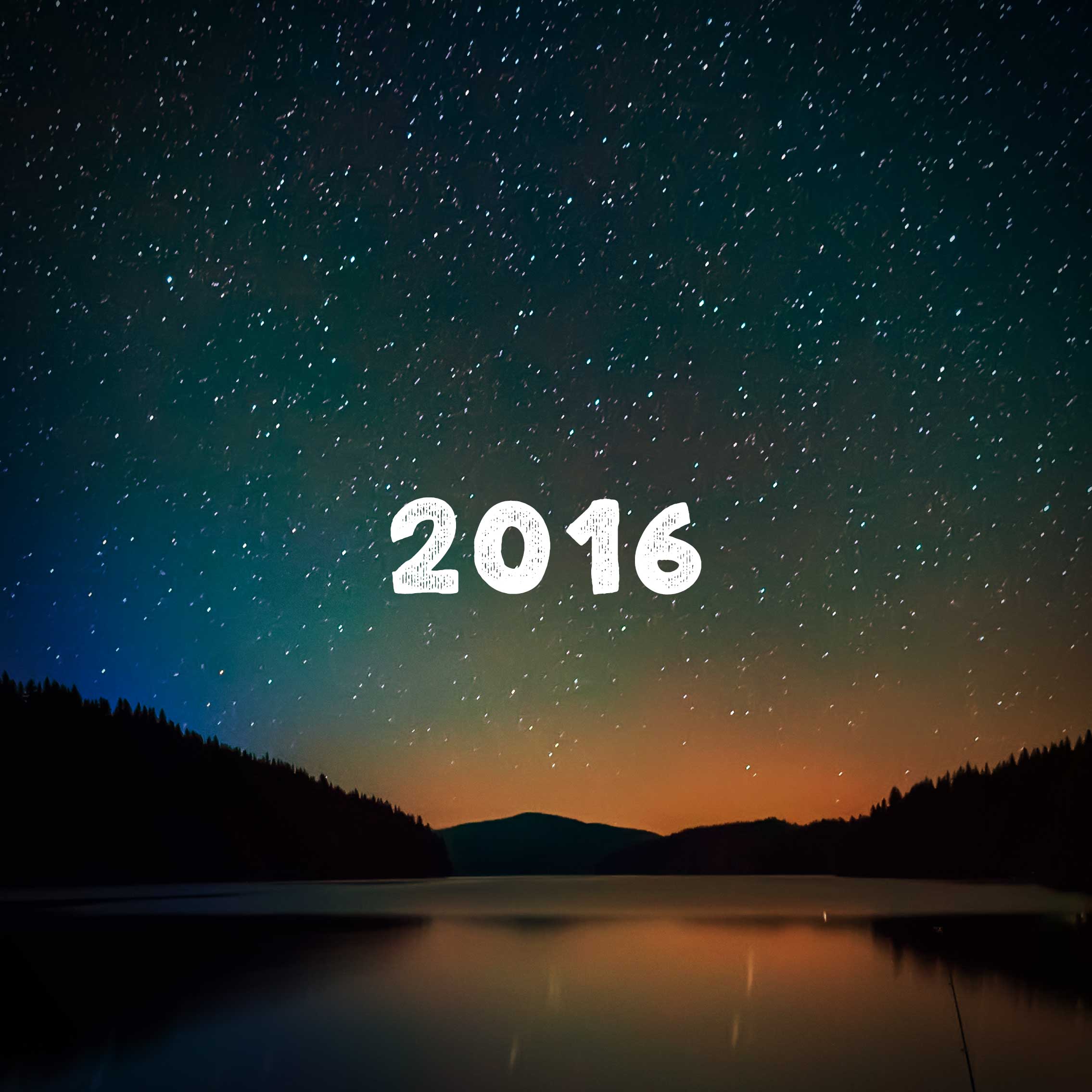 Camp Year 2016